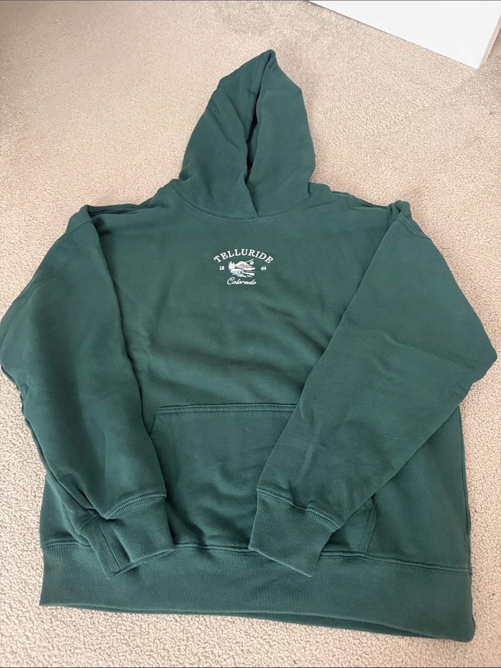 Hollister green telluride hoodie